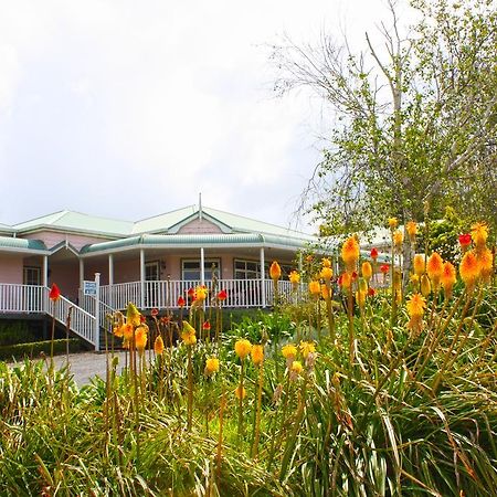 Matakohe House Bed & Breakfast Eksteriør bilde